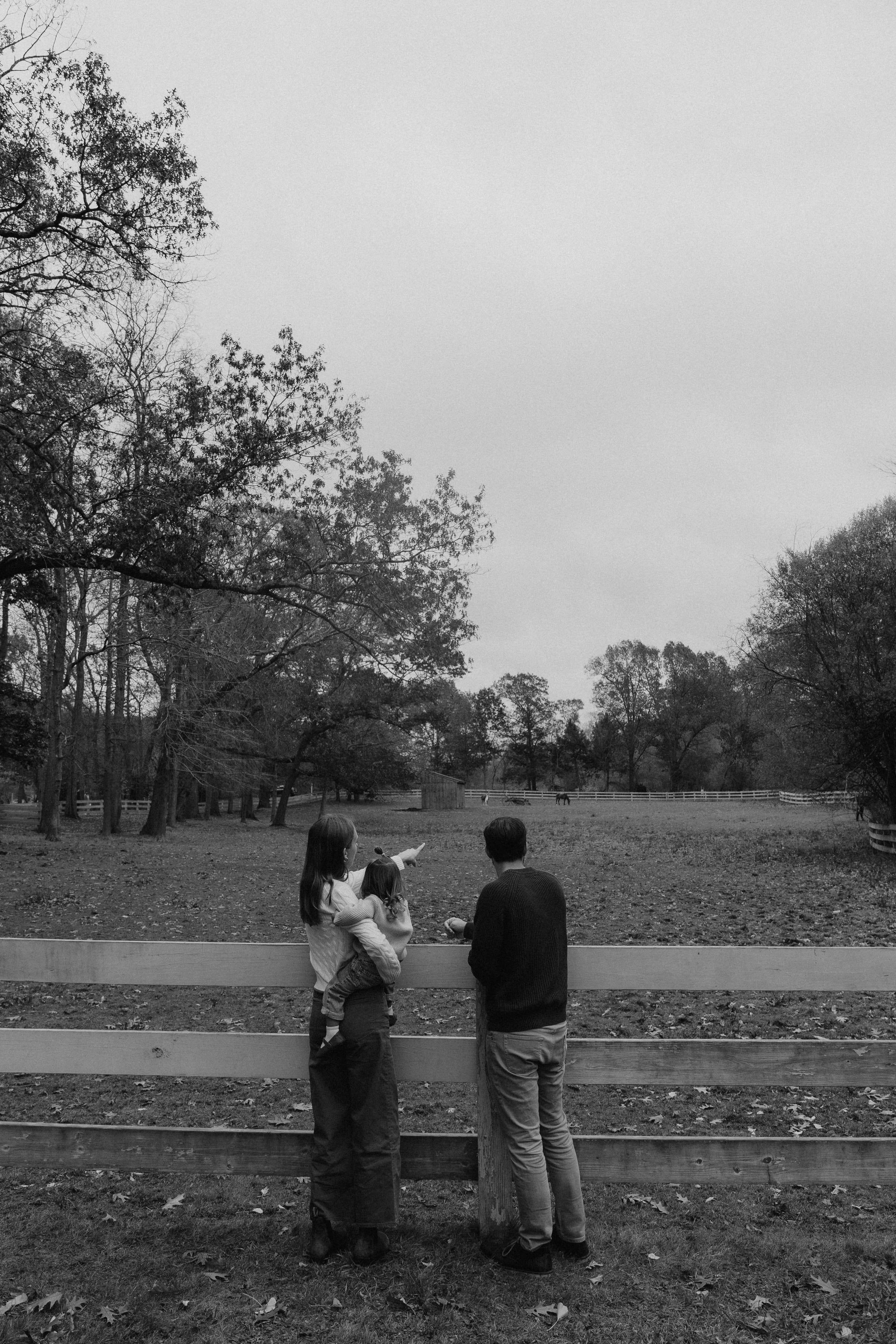 A family stands at a white fence overlooking a field, the mother pointing into the distance while holding a toddler.